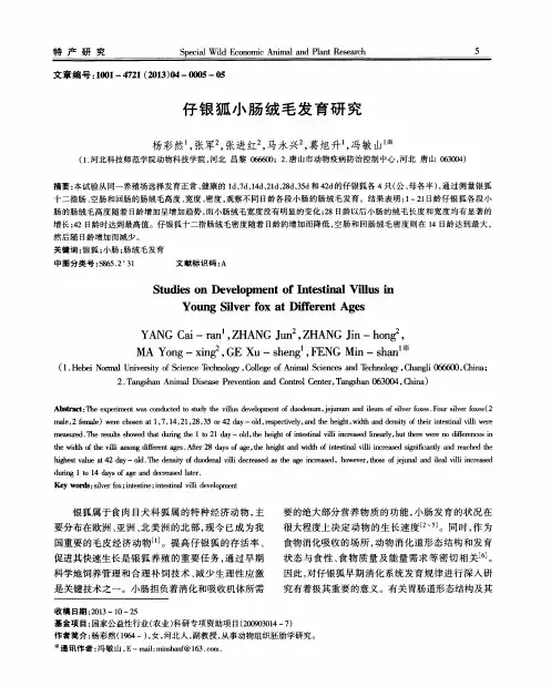 仔银狐小肠绒毛发育研究