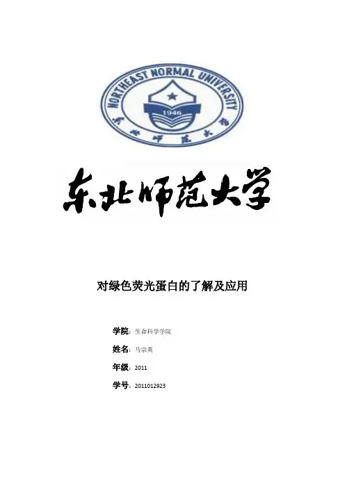 对绿色荧光蛋白(GFP)的了解及应用