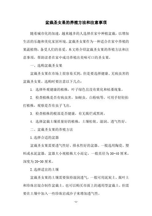 盆栽圣女果的养殖方法和注意事项