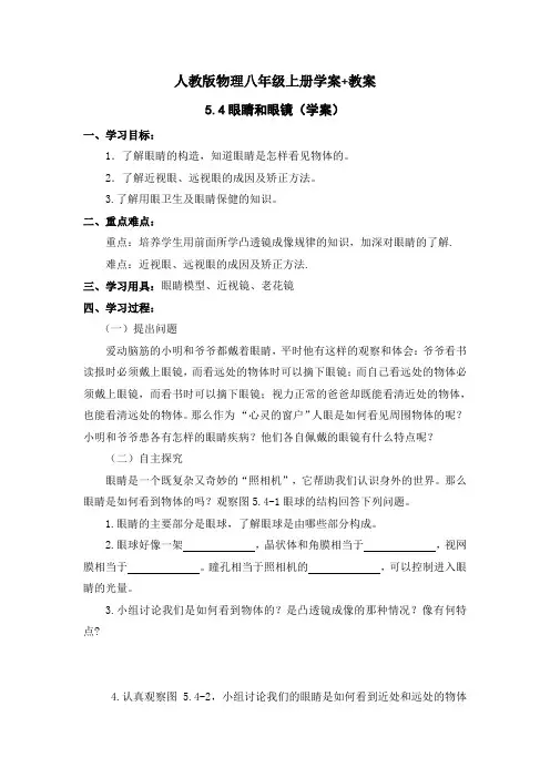 物理《眼睛和眼镜》学案+教案