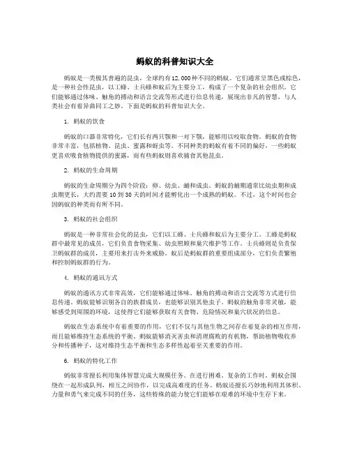 蚂蚁的科普知识大全