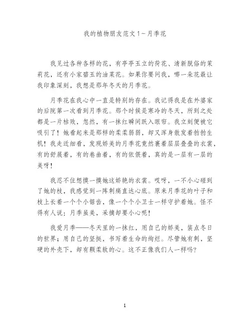 三年级作文我的植物朋友300字范文10篇