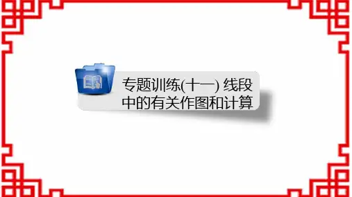 人教版七年级上册数学-第4章 几何图形初步 专题训练(十一) 线段中的有关作图和计算