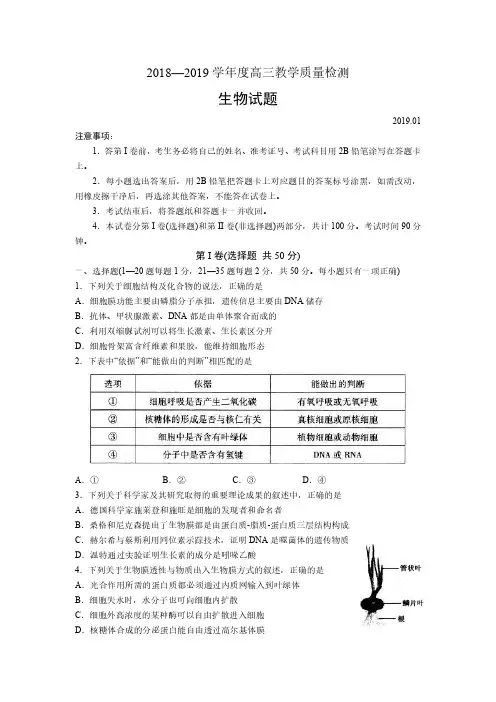 【济宁2019期末】济宁市2019届高三上期期末教学质量检测 生物(含答案)