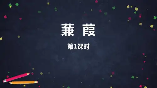 部编版八年级下册语文《蒹葭》PPT教学电子课件