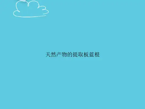 天然产物的提取板蓝根精选PPT