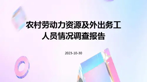 农村劳动力资源及外出务工人员情况调查报告