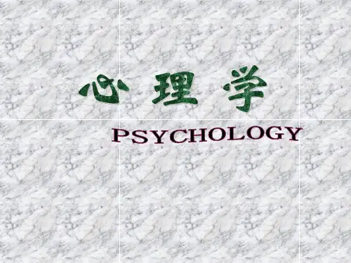 3第三章  行为动力
