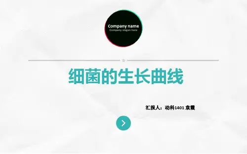 细菌的生长曲线