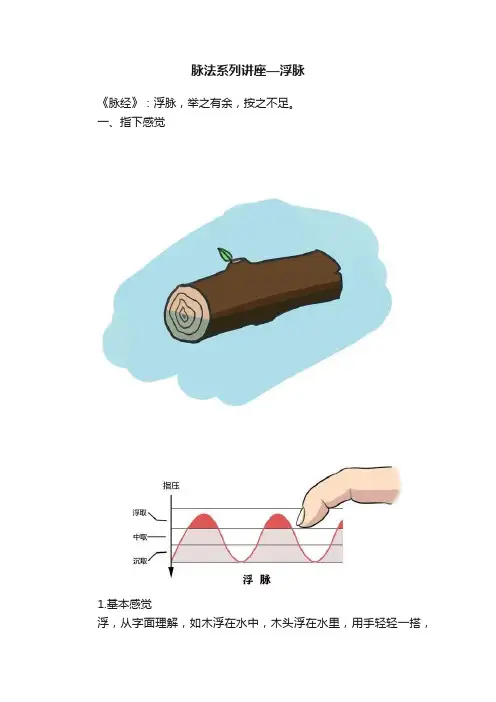 脉法系列讲座—浮脉