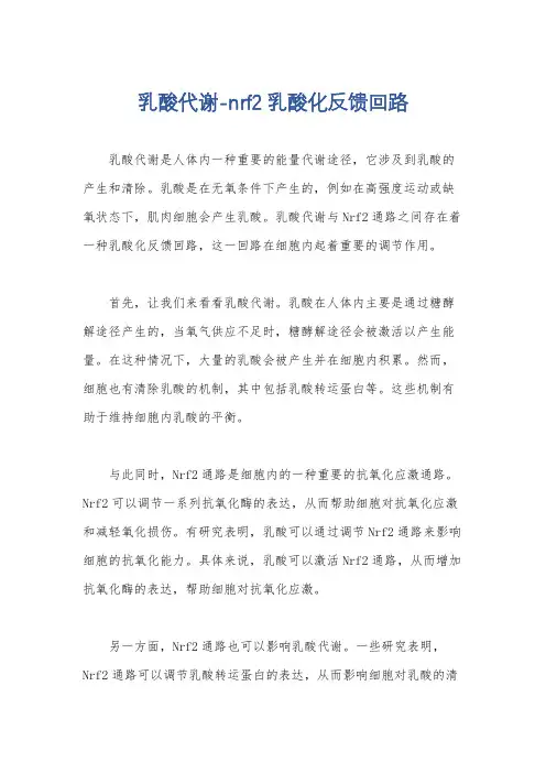 乳酸代谢-nrf2乳酸化反馈回路