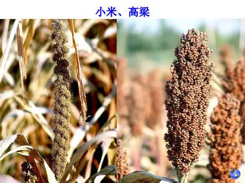 自然地理学_第五章_地貌58精品PPT课件