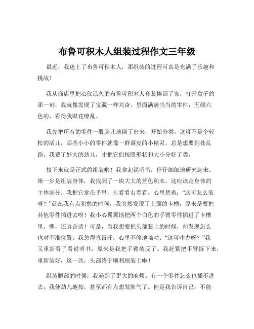 布鲁可积木人组装过程作文三年级