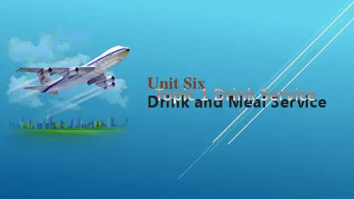 民航专业英语unit6