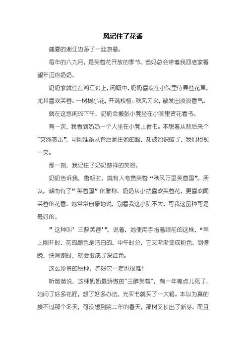 初三作文：风记住了花香满分作文600字