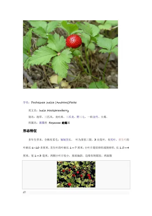 蛇莓