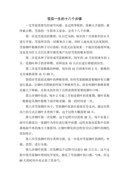 雪茄的工艺流程