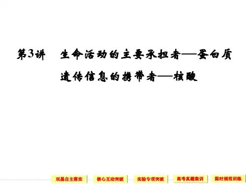 蛋白质和核酸一轮复习