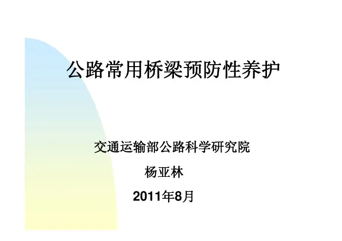 公路常用桥梁预防性养护 