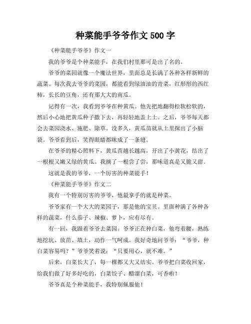 种菜能手爷爷作文500字