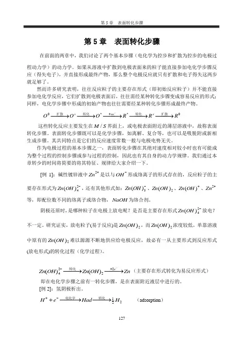 电化学 第5章 表面转化步骤