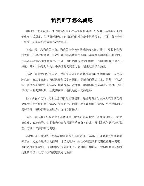 狗狗胖了怎么减肥