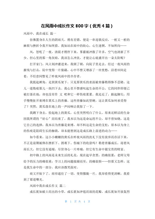 在风雨中成长作文800字(优秀4篇)
