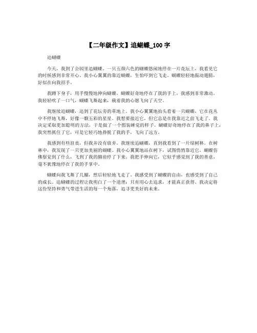 【二年级作文】追蝴蝶_100字