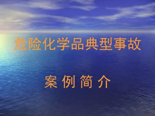 危险化学品典型事故案例简介