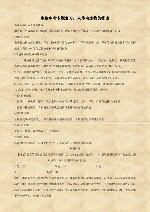 生物中考专题复习：人体内废物的排出