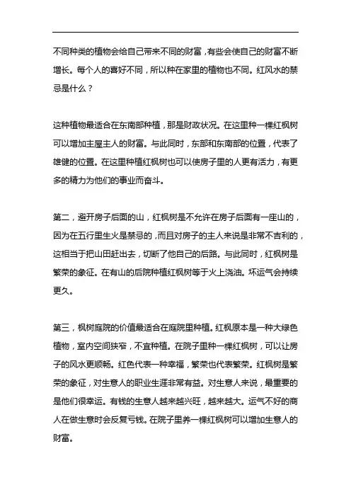 庭院红枫种植禁忌