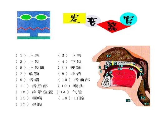 音标带发音 ppt课件