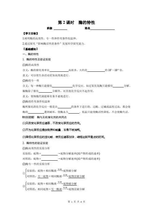 酶的特性
