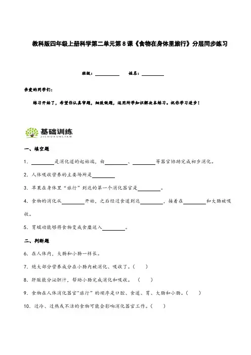 教科版四年级上册科学第二单元第8课《食物在身体里旅行》分层同步练习(附答案解析)