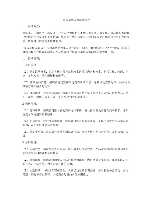 青马工程方案活动流程
