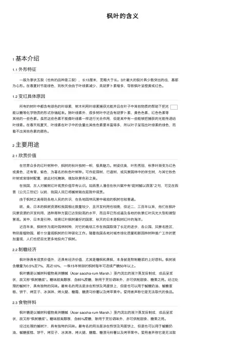 枫叶的含义——精选推荐