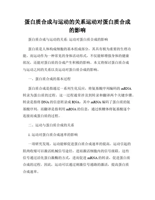 蛋白质合成与运动的关系运动对蛋白质合成的影响