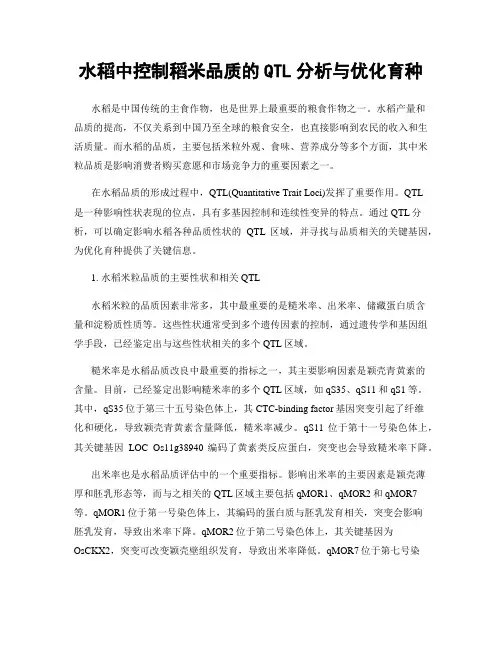 水稻中控制稻米品质的QTL分析与优化育种