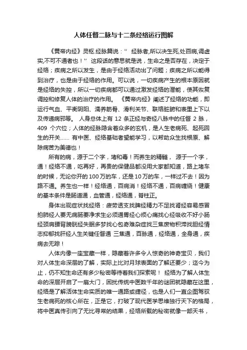 人体任督二脉与十二条经络运行图解