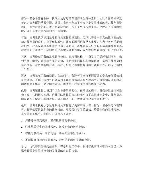 小学足球裁判员培训感想