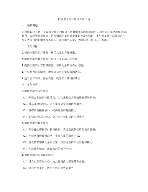 护童成长项目年度工作计划