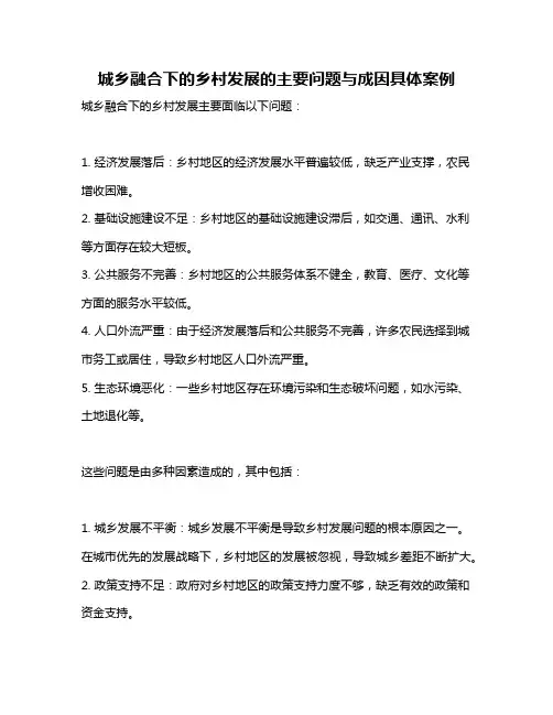 城乡融合下的乡村发展的主要问题与成因具体案例
