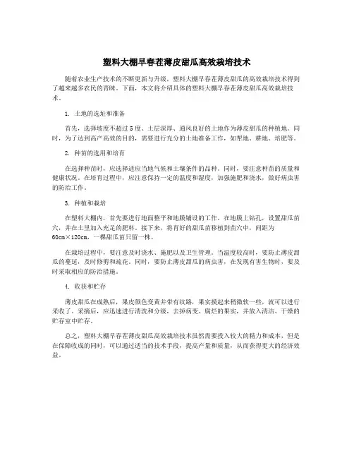 塑料大棚早春茬薄皮甜瓜高效栽培技术