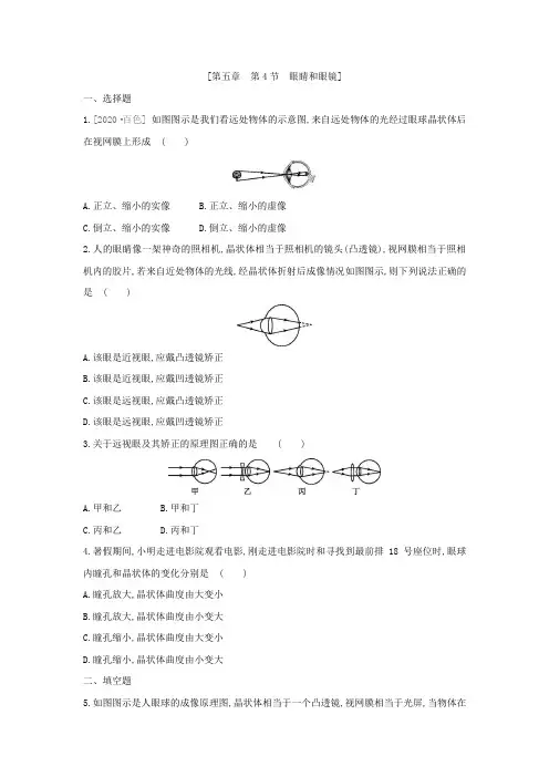 人教版物理八年级上册课课练：5.4 眼睛和眼镜(含答案)