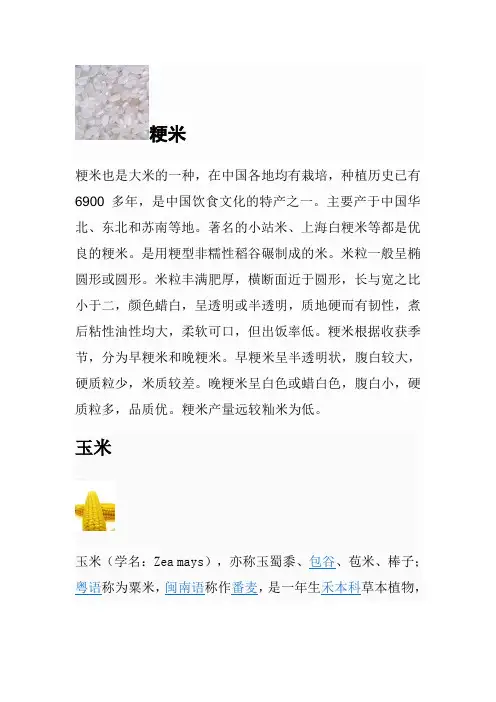 五谷杂粮