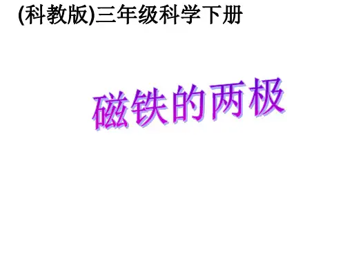 《磁铁的两极》PPT课件教科版