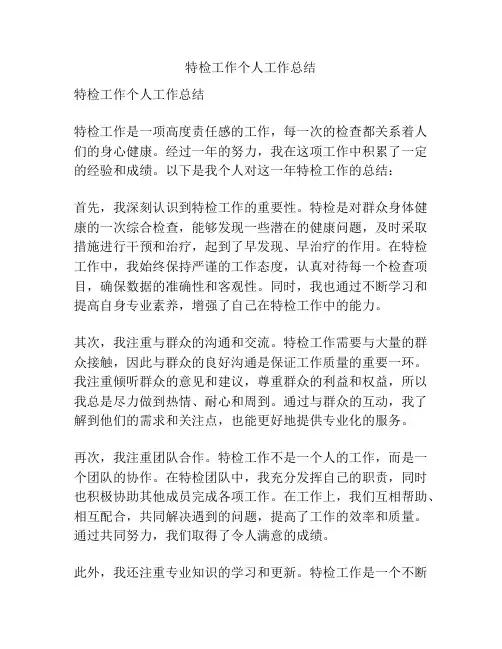 特检工作个人工作总结