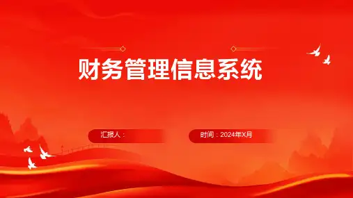 财务管理信息系统