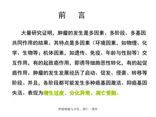 肿瘤细胞与分化凋亡一课件