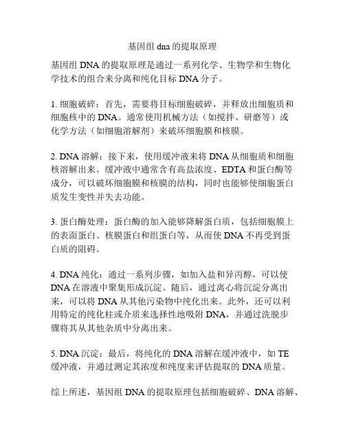基因组dna的提取原理